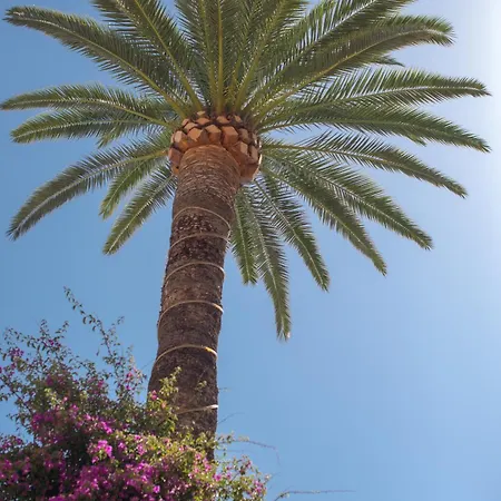 Hotell Et Reine D'azur 3*