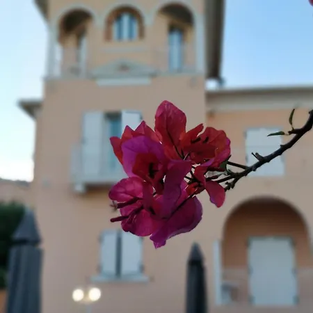 Et Reine D'azur Roquebrune-Cap-Martin